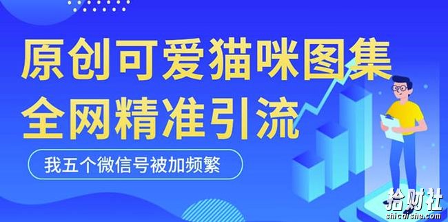 黑科技纯原创可爱猫咪图片,全网精准引流,实操5个VX号被加频繁