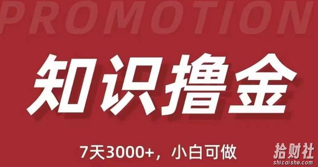 抖音知识撸金项目：简单粗暴日入1000+执行力强当天见收益(教程+资料)