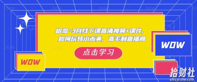 哈哥·3月线下实操课高清视频+课件，如何玩转小而美，高毛利直播间