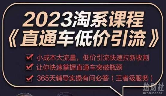 2023直通车低价引流玩法课程,小成本大流量,低价引流快速拉新收割,让你快速掌握直通车突破瓶颈