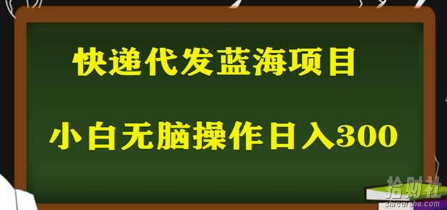 2023最新蓝海快递代发项目，小白零成本照抄也能日入300+