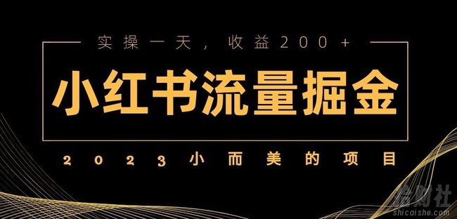2023小而美的项目,小红书流量掘金,实操一天,收益200+【揭秘】