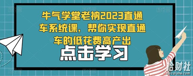 牛气学堂老衲2023直通车系统课,帮你实现直通车的低花费高产出