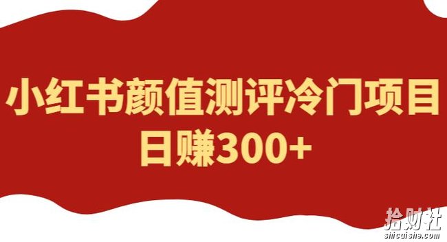 外面1980的项目,小红书颜值测评冷门项目,日赚300+【揭秘】