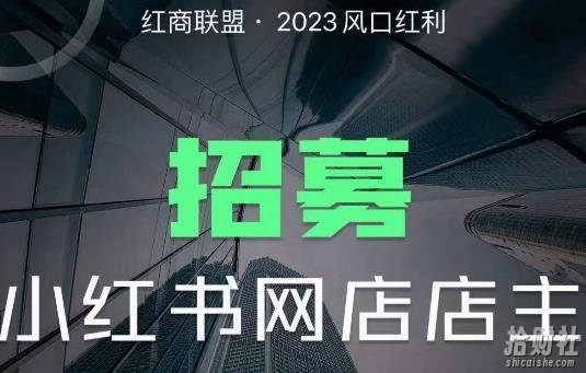 红商联盟·小红书无货源电商1.0,0粉丝无需囤货,小白也可以轻松上手的无货源项目