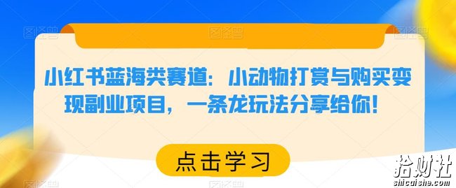 小红书蓝海类赛道：小动物打赏与购买变现副业项目，一条龙玩法分享给你！