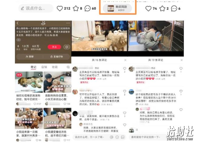 小红书蓝海类赛道:小动物打赏与购买变现副业项目,一条龙玩法分享给你!