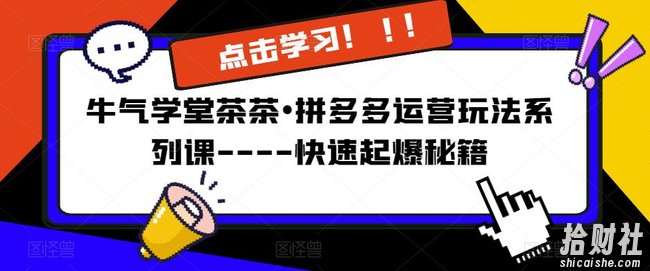 牛气学堂茶茶•拼多多运营玩法系列课—-快速起爆秘籍【更新】