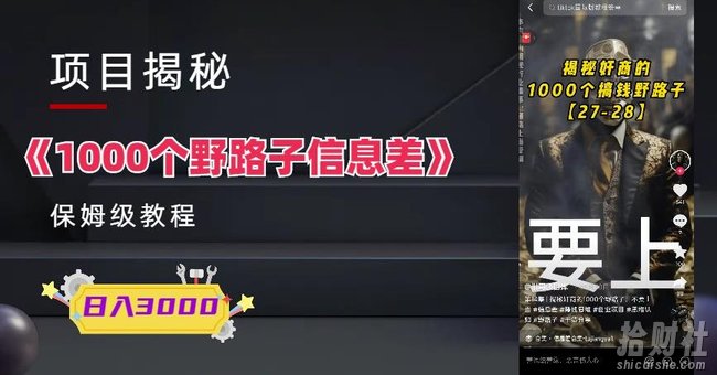 1000个野路子信息差保姆式教程-单日变现3000+的玩法解密