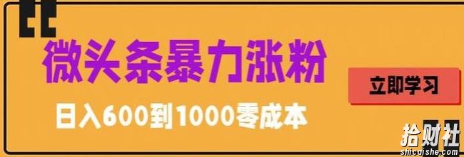 微头条暴力涨粉技巧搬运文案就能涨几万粉丝，简单0成本，日赚600【揭秘】
