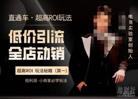 电商冰可乐·直通车·《低价引流·全店动销》,直通车·超高ROI玩法(其一)全店动销必学玩法