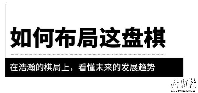 某公众号付费文章《如何布局这盘棋》在浩瀚的棋局上，看懂未来的发展趋势
