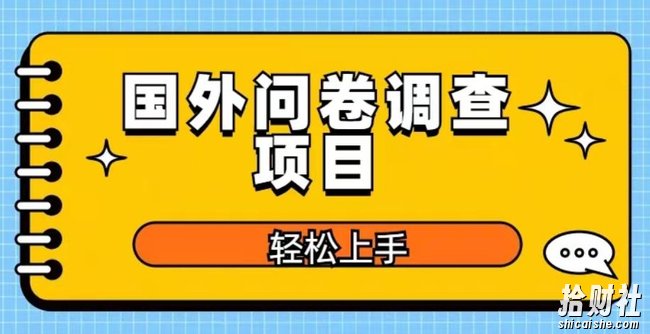 国外问卷调查项目，日入300+，在家赚美金【揭秘】