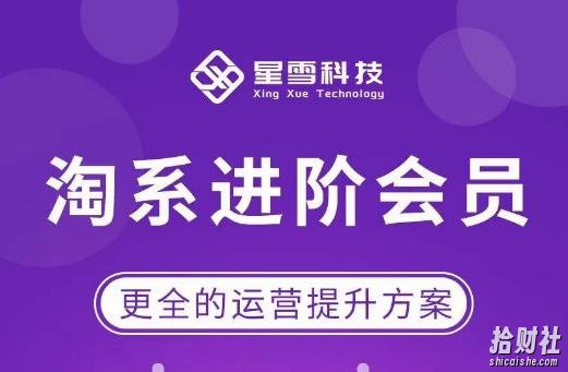 星雪·淘系进阶课程，快速提升突破技能流量瓶颈必备（更新2023年5月）