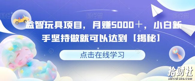 益智玩具项目，月赚5000＋，小白新手坚持做就可以达到【揭秘】