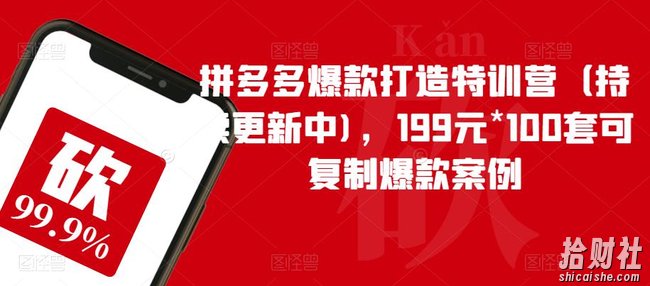 拼多多爆款打造特训营(持续更新中),199元*100套可复制爆款案例