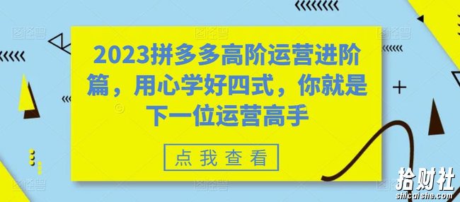2023拼多多高阶运营进阶篇，用心学好四式，你就是下一位运营高手