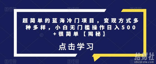 超简单的蓝海冷门项目，变现方式多种多样，小白无门槛操作日入500+很简单【揭秘】