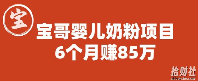 宝哥婴儿奶粉项目,6个月赚85w【图文非视频】【揭秘】