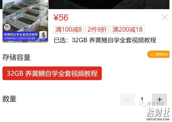 东哲日记:全网首创实物虚拟电商项目,速来捡钱,成本低,一单赚几十块!