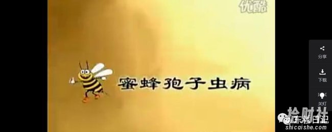 东哲日记:全网首创实物虚拟电商项目,速来捡钱,成本低,一单赚几十块!