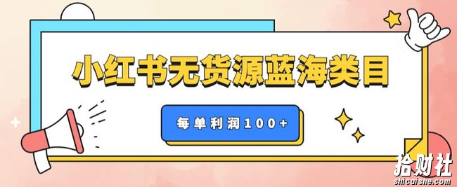 小红书无货源做蓝海类目【每单利润50-200+】，单月轻松过万【揭秘】