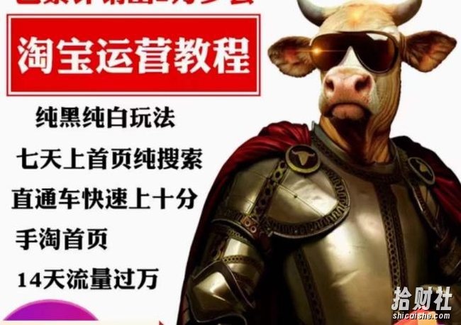猫老师·淘系算法逆向解密，纯黑纯白玩法，七天上首页纯搜索，手淘首页14天流量过万