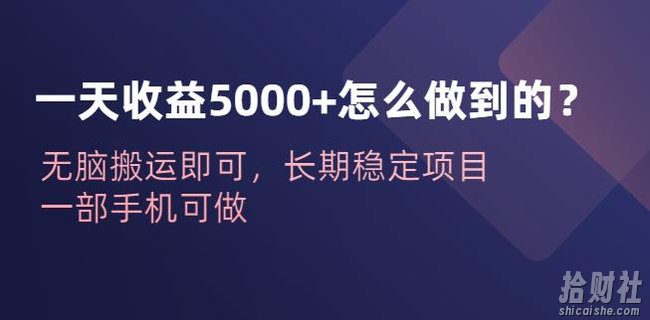 一天收益5000+怎么做到的?无脑搬运即可,长期稳定项目,一部手机可做【揭秘】