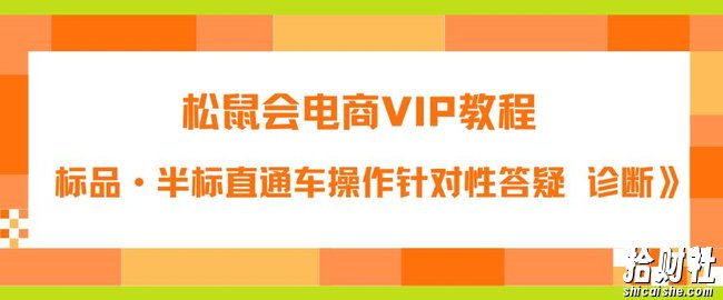 松鼠会电商VIP教程：松鼠《付费推广标品·半标直通车操作针对性答疑&诊断》