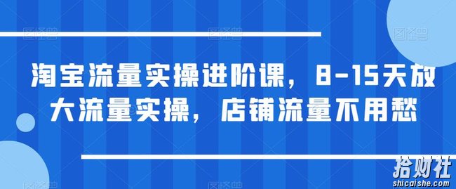 淘宝流量实操进阶课，8-15天放大流量实操，店铺流量不用愁