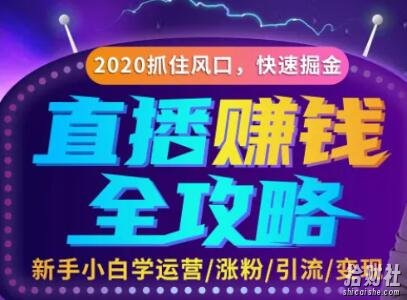 直播賺米攻略，教你涨粉/引流/带货/变现，轻松月入10万+！