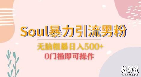 Soul暴力引流男粉玩法，无脑粗暴日入500＋，0门槛即可操作【揭秘】