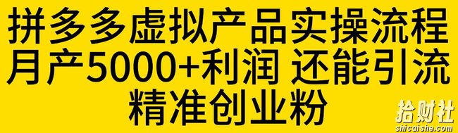 拼多多虚拟产品实操流程，月产5000+利润，还能引流精准创业粉【揭秘】