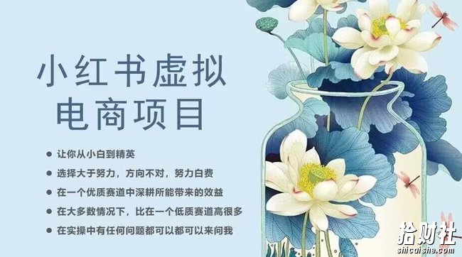 小红书虚拟电商从0到1,让你从小白到精英(20节实操课程)