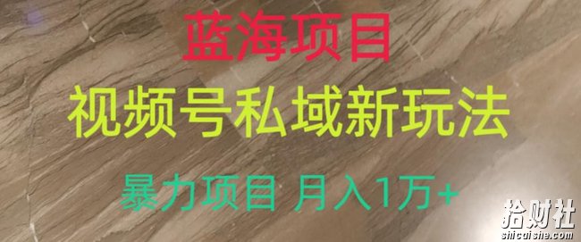 蓝海项目,视频号私域新玩法,暴力项目月入1万+【揭秘】