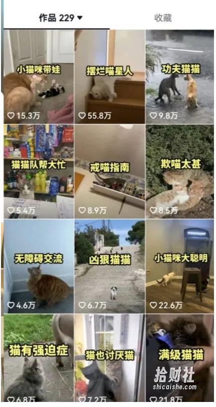 拆解：抖音盘点类中视频变现副业项目，视频版一条龙大解析分享给你