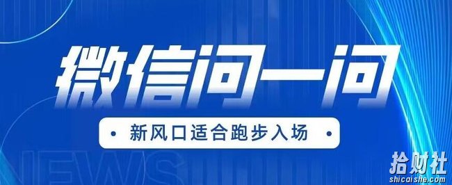 全网首发微信问一问新风口变现项目(价值1999元)【揭秘】