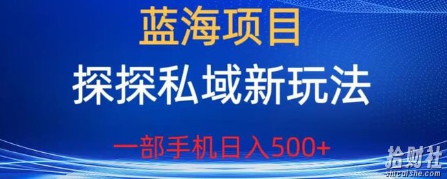 蓝海项目,探探私域新玩法,一部手机日入500+很轻松【揭秘】