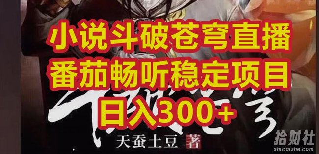 小说斗破苍穹直播,番茄畅听日入300+稳定项目【揭秘】
