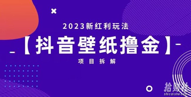 抖音壁纸小程序创作者撸金项目，2023新红利玩法【项目拆解】