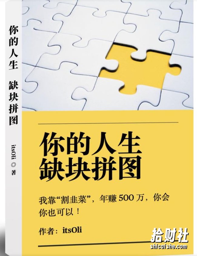 某高赞电子书《你的人生，缺块拼图——我靠“割韭菜”，年赚500万，你会你也可以》