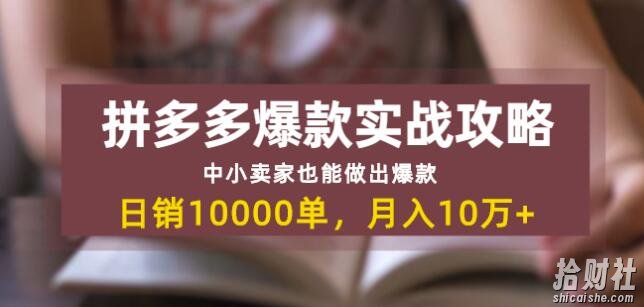 拼多多爆款实战攻略:中小卖家也能做出爆款,日销10000单月入10w+
