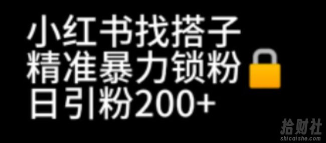 小红书找搭子暴力精准锁粉+引流日引200+精准粉