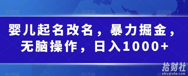 婴儿起名改名，暴力掘金，无脑操作，日入1000+【揭秘】