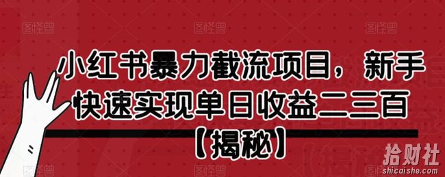 小红书暴力截流项目，新手快速实现单日收益二三百【仅揭秘】