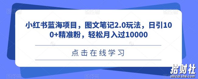 小红书蓝海项目,图文笔记2.0玩法,日引100+精准粉,轻松月入过10000【揭秘】