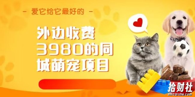 外边收费3980的同城萌宠项目,用最冷门的玩法冲击最热门的市场【揭秘】