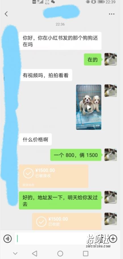 外边收费3980的同城萌宠项目,用最冷门的玩法冲击最热门的市场【揭秘】