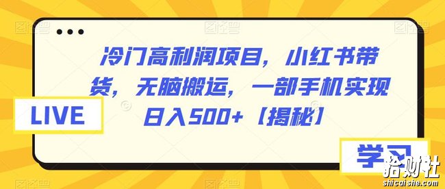 冷门高利润项目,小红书带货,无脑搬运,一部手机实现日入500+【揭秘】