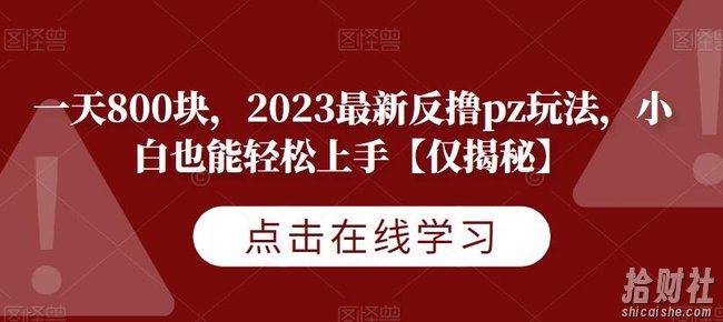 一天800块,2023最新反撸pz玩法,小白也能轻松上手【仅揭秘】